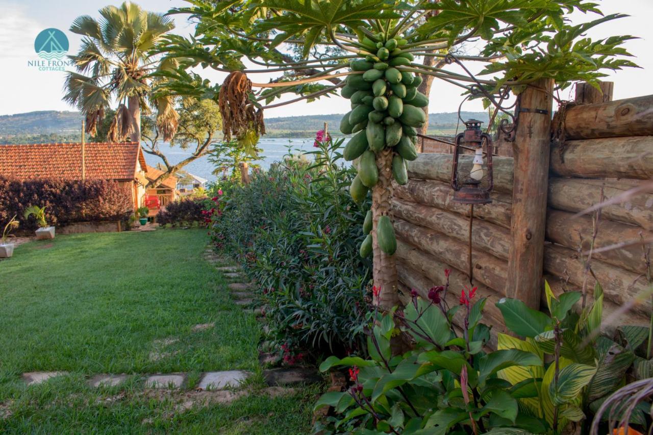 Nile Front Cottages ジンジャ エクステリア 写真